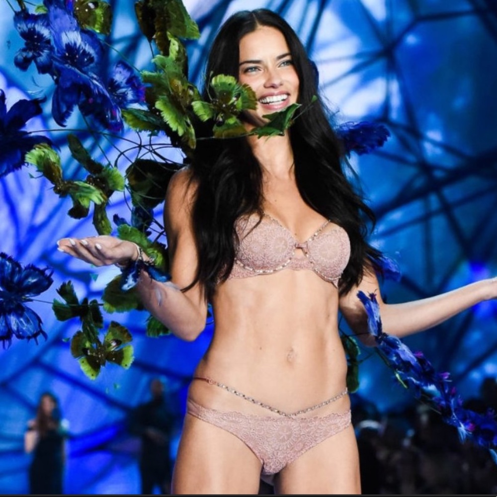 Victoria’s Secret Designer Swarovski Blush Set 36D S